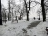 O 2013_Plock 2